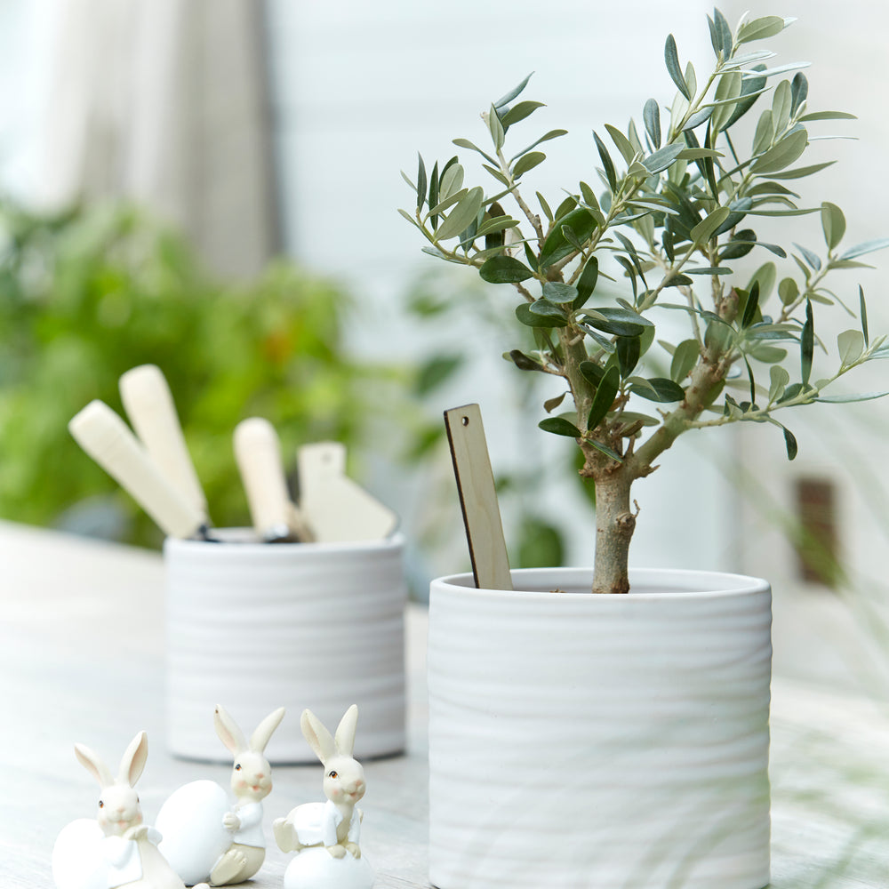 Wikholm Lisen Ceramic Plant Pot, Matt White