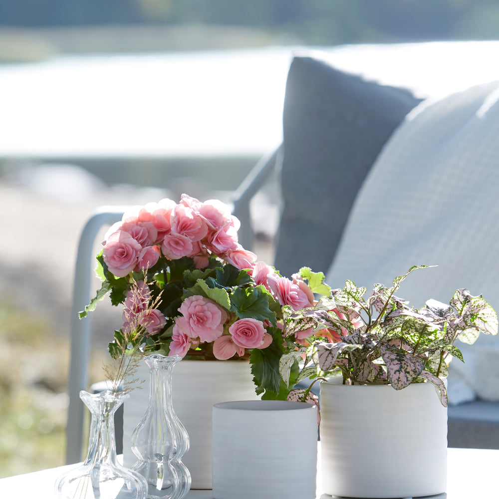 Wikholm Lisen Ceramic Plant Pot, Matt White