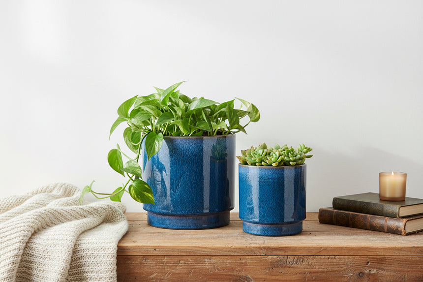 Wikholm Galia Ceramic PLant Pot, Blue