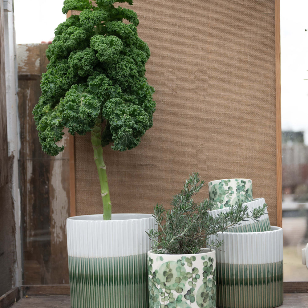 Wikholm Alessia Ceramic Plant Pot, Green