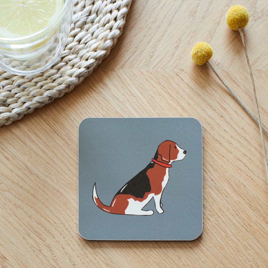 Sweet William Coaster, Beagle