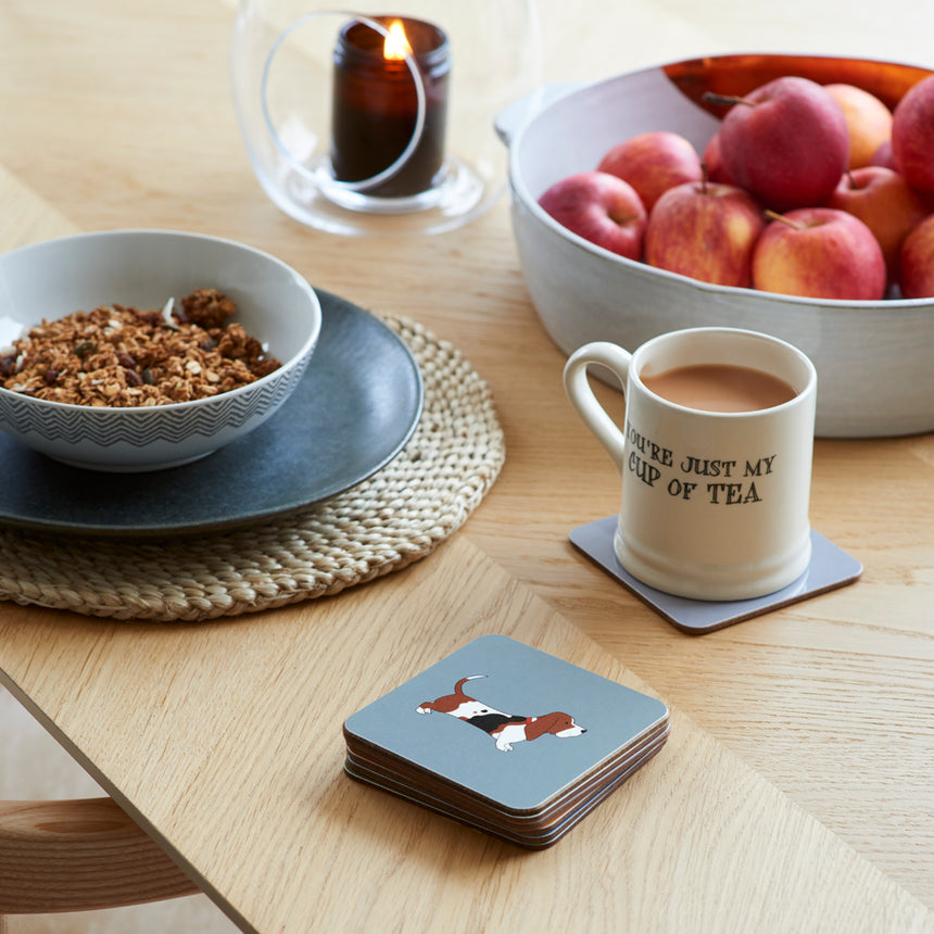 Sweet William Coaster, Basset Hound