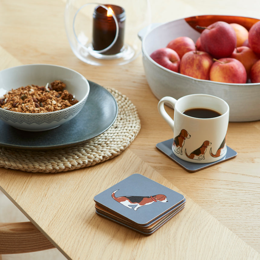 Sweet William Coaster, Beagle