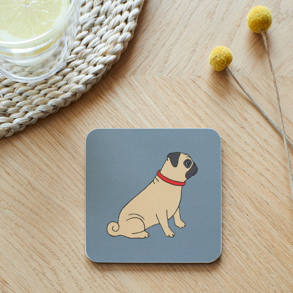 Sweet William Coaster, Pug