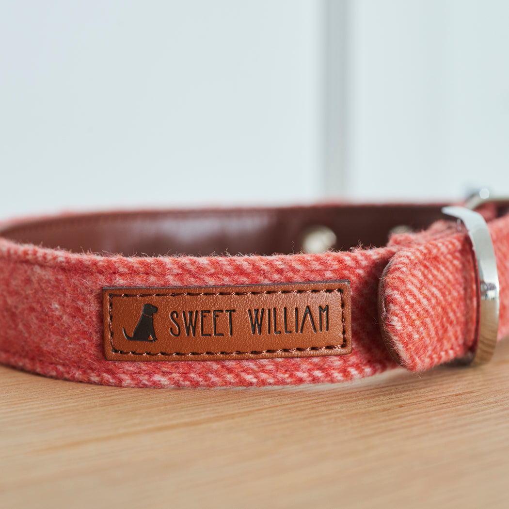 Sweet William Tweed Dog Collar, Orange