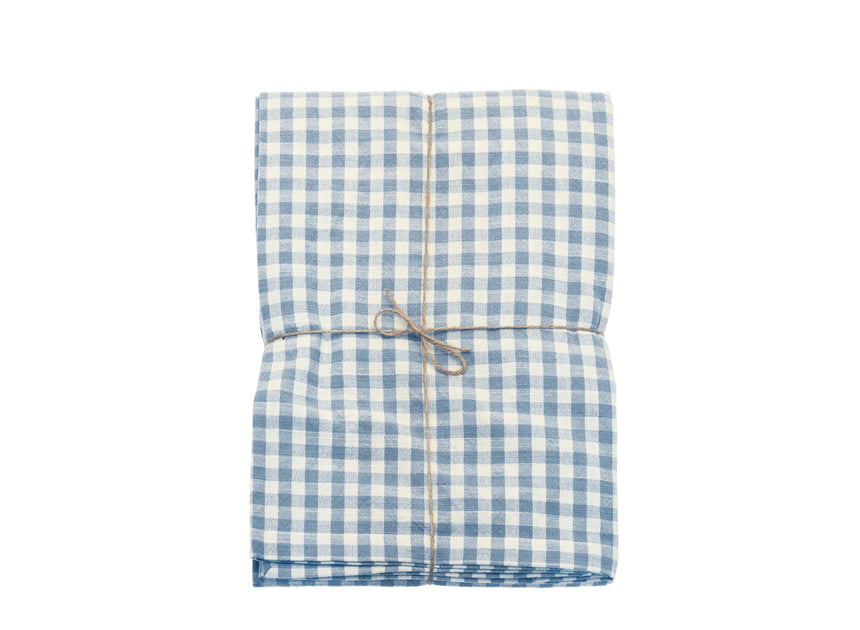 Blue and white checkered fabric tablecloth with twine on a white background