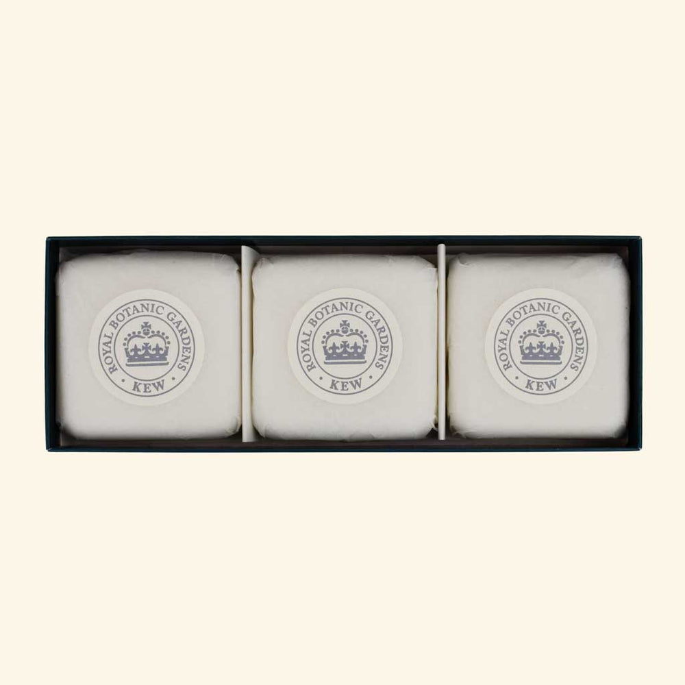 The English Soap Company Kew Gardens, Jasmine Peach Triple Soap Gift Box