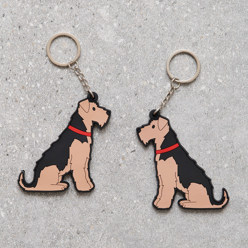 Sweet William Welsh Terrier Keyring