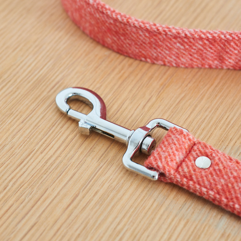 Sweet William Tweed Dog Lead, Orange