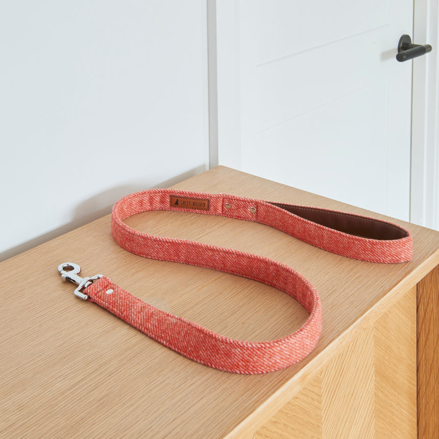 Sweet William Tweed Dog Lead, Orange