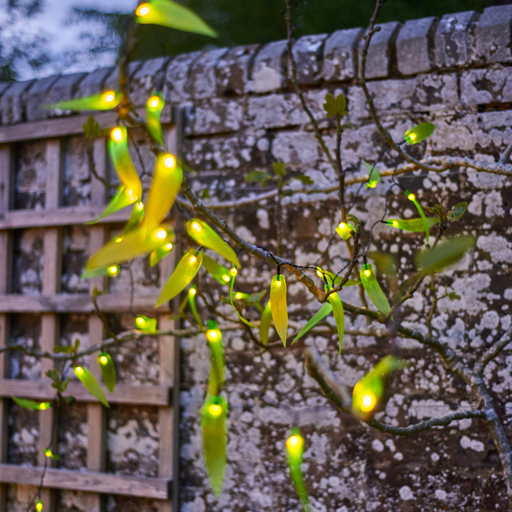 Solar powered Leaf Fantasy LED Fairy light