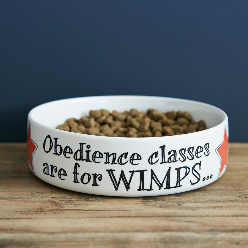 Sweet William Ceramic Pet Bowl, Obedience Classes Are For Wimps