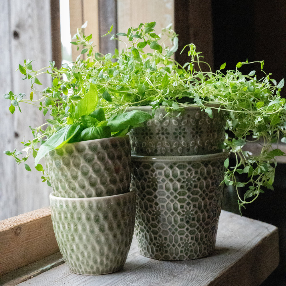 Wikholm Veda Ceramic Mini Plant Pots, Green (Set Of 3)