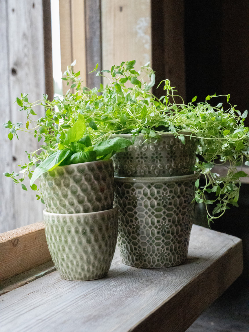 Wikholm Veda Ceramic Mini Plant Pots, Green (Set Of 3)