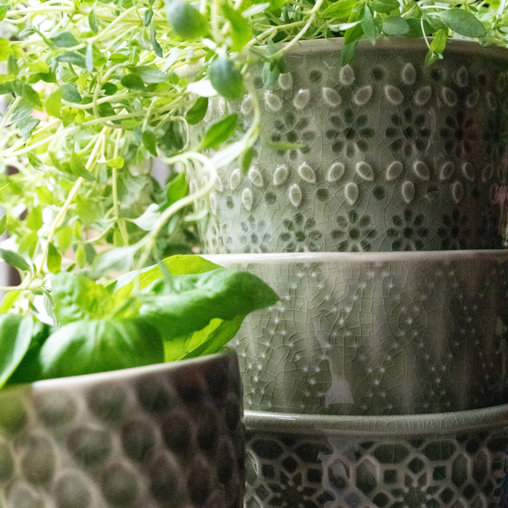 Wikholm Veda Ceramic Mini Plant Pots, Green (Set Of 3)