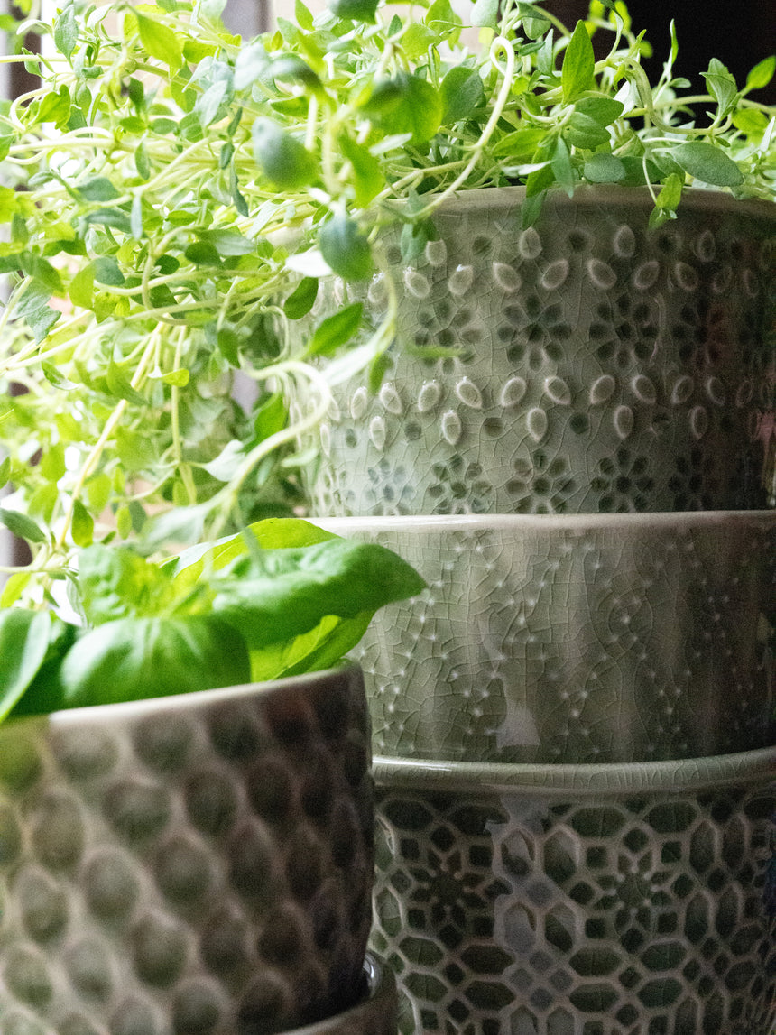 Wikholm Veda Ceramic Mini Plant Pots, Green (Set Of 3)
