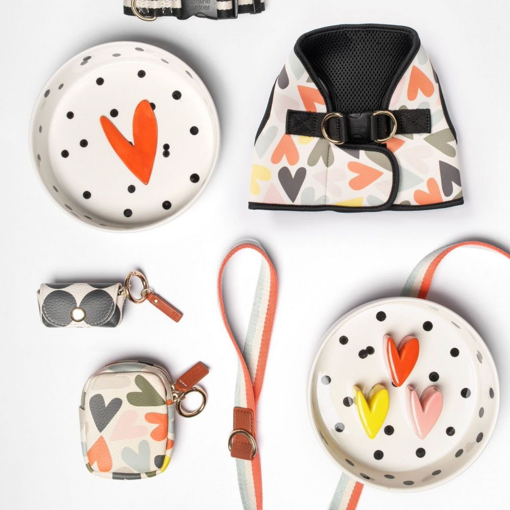 Caroline Gardner Dog Harness, Hearts