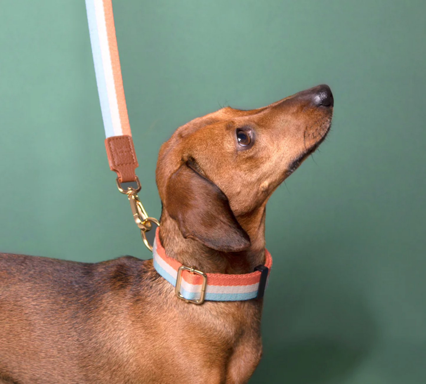 Caroline Gardner Cotton Dog Lead, Blue/Coral Stripes