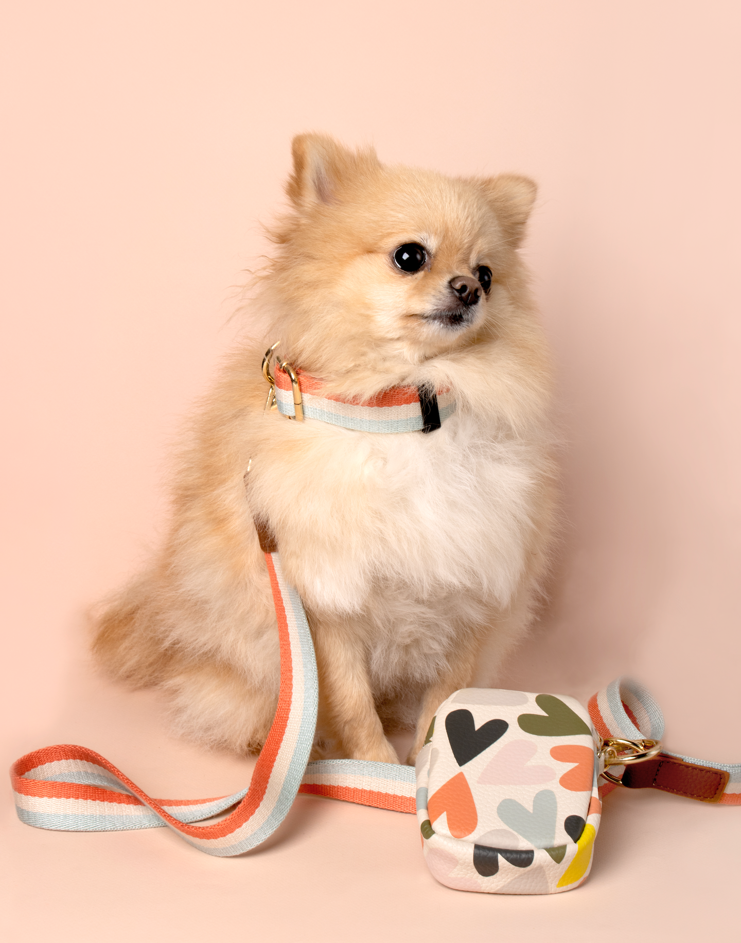 Caroline Gardner Cotton Dog Lead, Blue/Coral Stripes