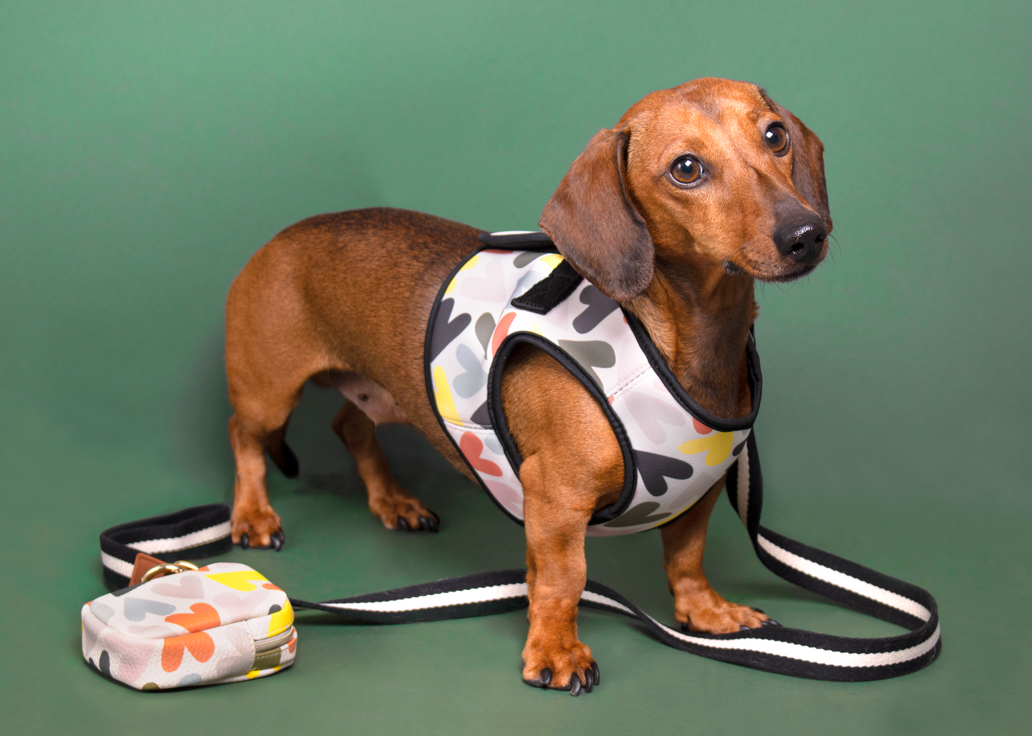 Caroline Gardner Cotton Dog Lead, Mono Stripes