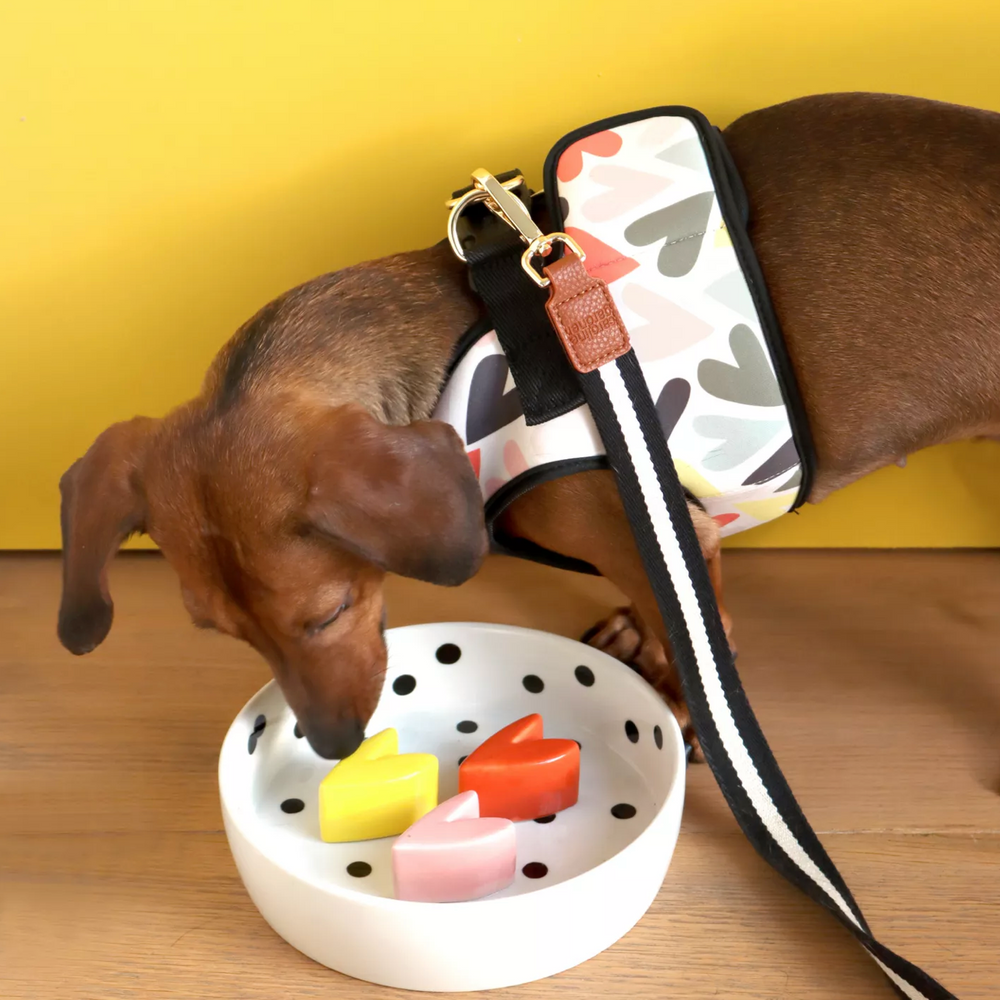 Caroline Gardner Dog Harness, Hearts