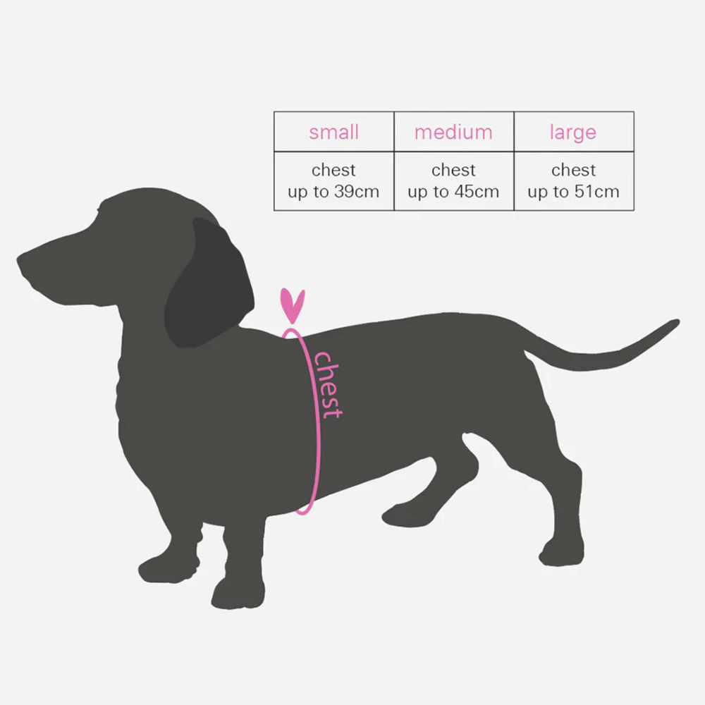 Caroline Gardner Dog Harness, Hearts