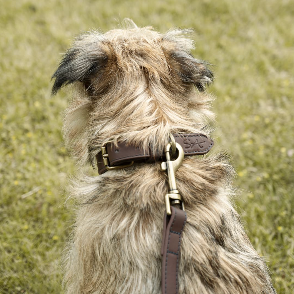 Sophie Allport Leather Dog Collar, Woof