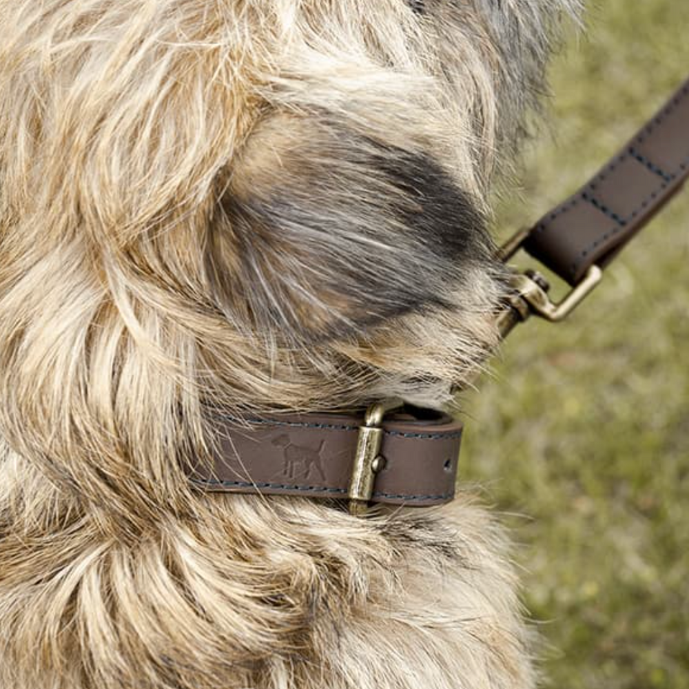 Sophie Allport Leather Dog Collar, Woof