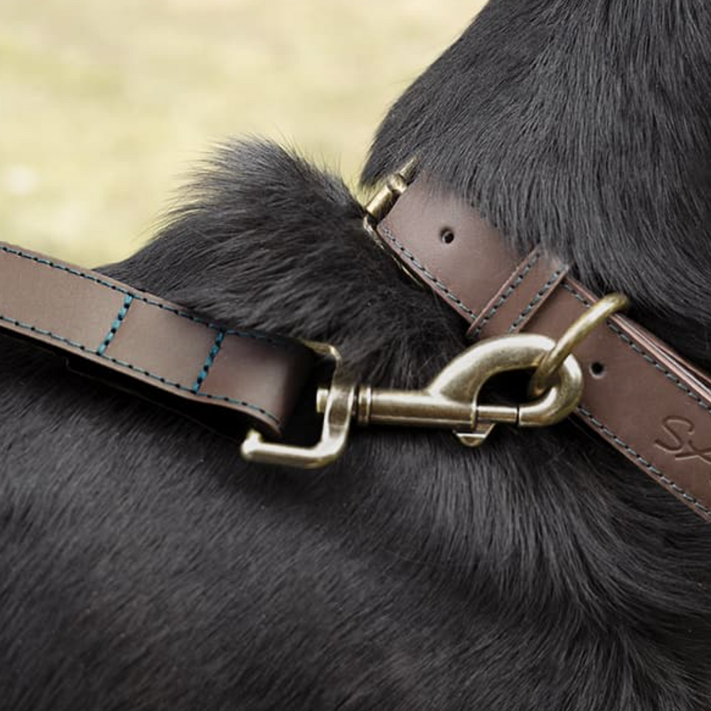 Sophie Allport Leather Dog Collar, Woof