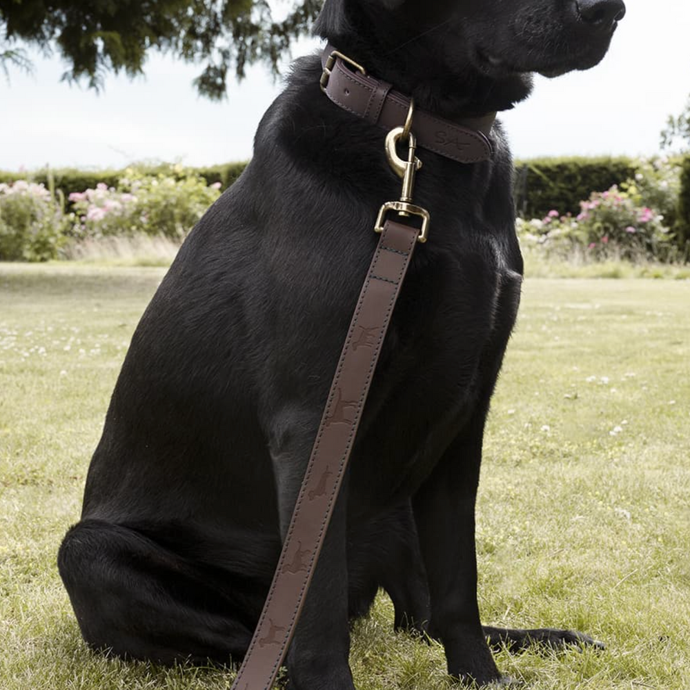 Sophie Allport Leather Dog Collar, Woof