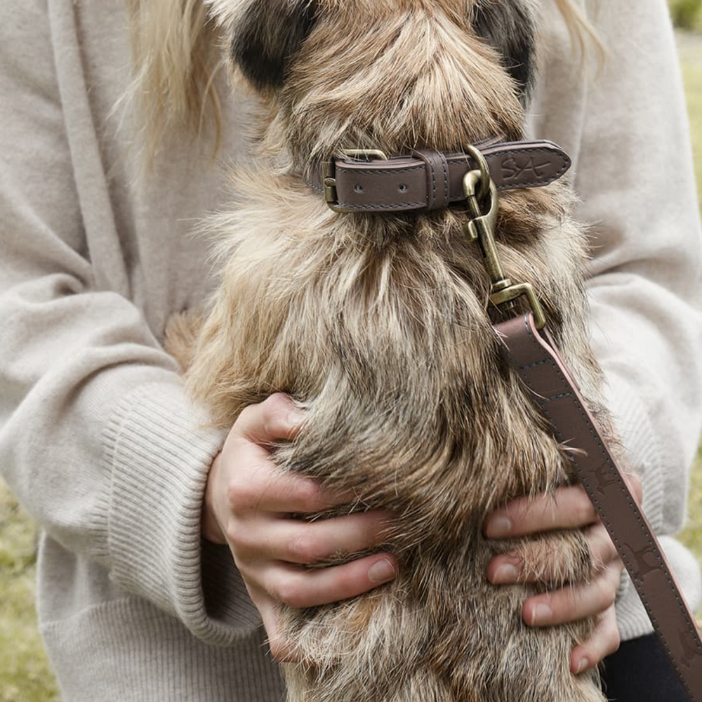 Sophie Allport Leather Dog Collar, Woof