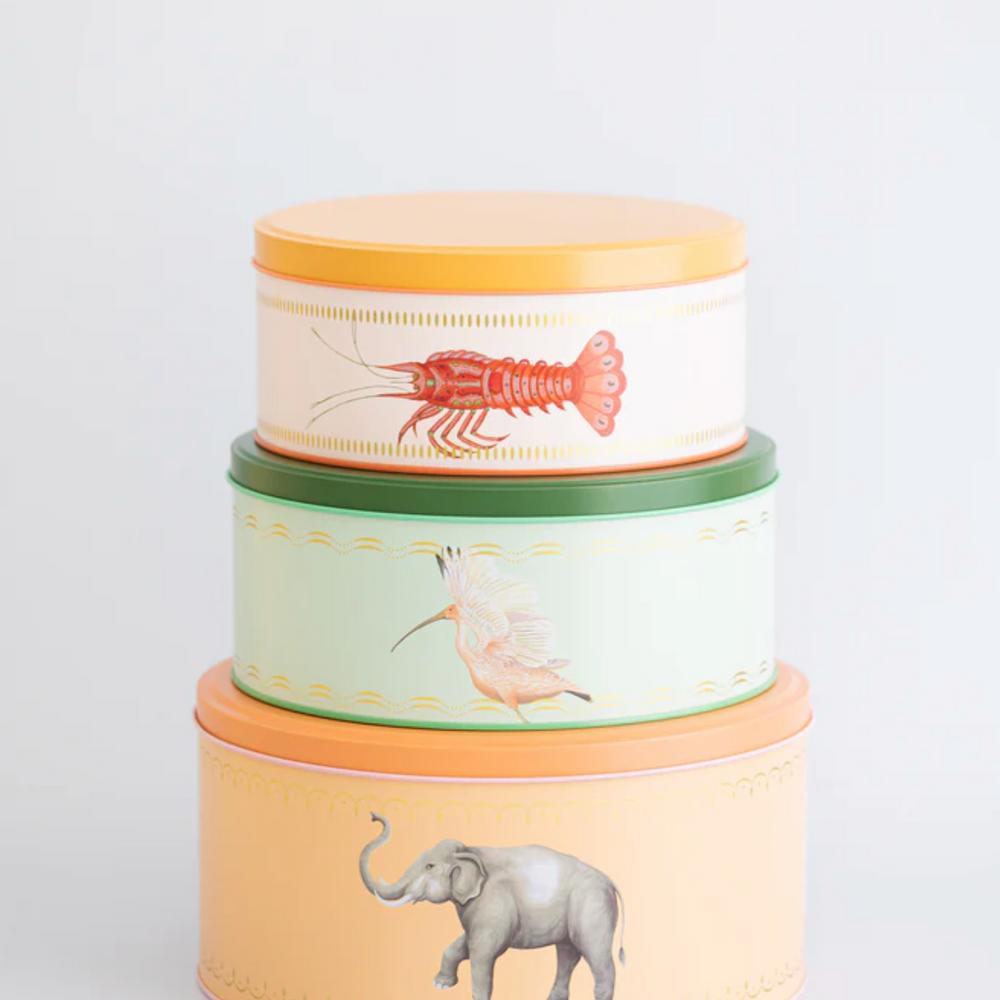 Yvonne Ellen Round Cake Tins (Set Of 3)