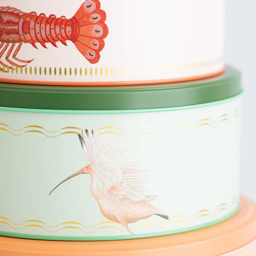 Yvonne Ellen Round Cake Tins (Set Of 3)