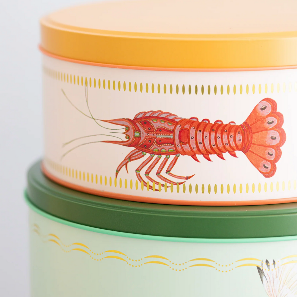 Yvonne Ellen Round Cake Tins (Set Of 3)