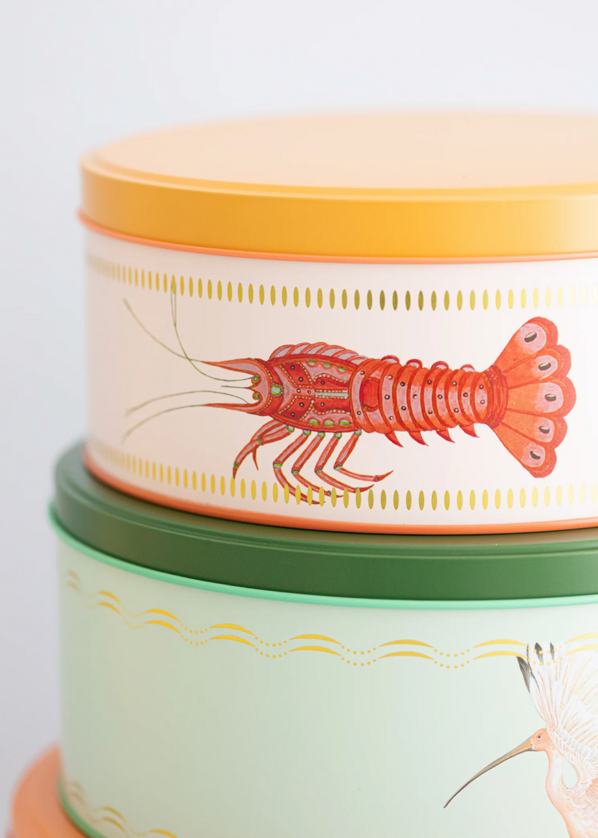 Yvonne Ellen Round Cake Tins (Set Of 3)