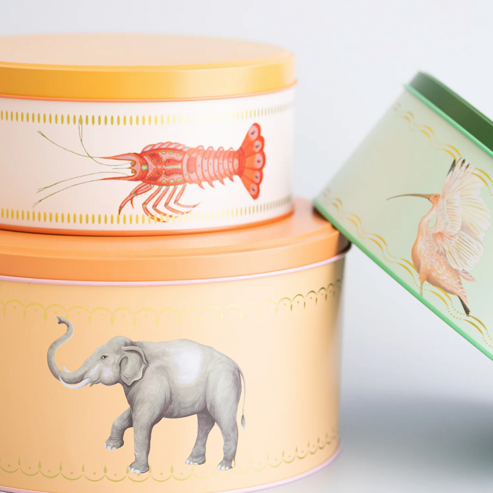 Yvonne Ellen Round Cake Tins (Set Of 3)