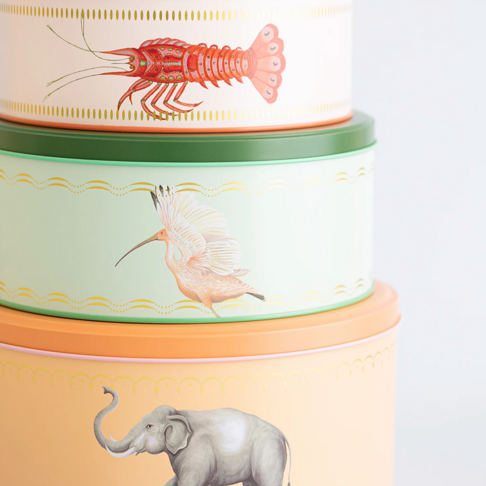 Yvonne Ellen Round Cake Tins (Set Of 3)