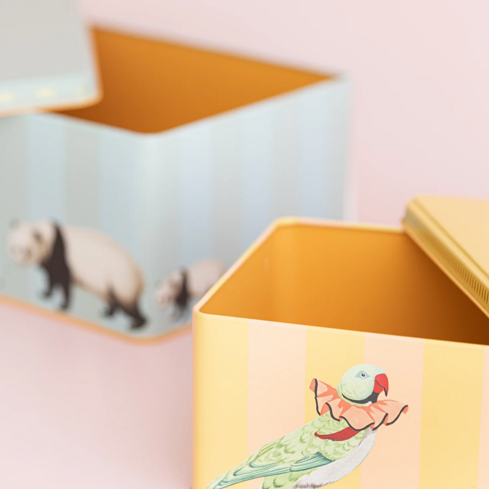 Yvonne Ellen Rectangle Storage Tins (Set Of 2)