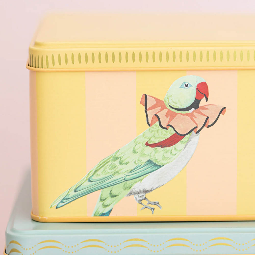 Yvonne Ellen Rectangle Storage Tins (Set Of 2)