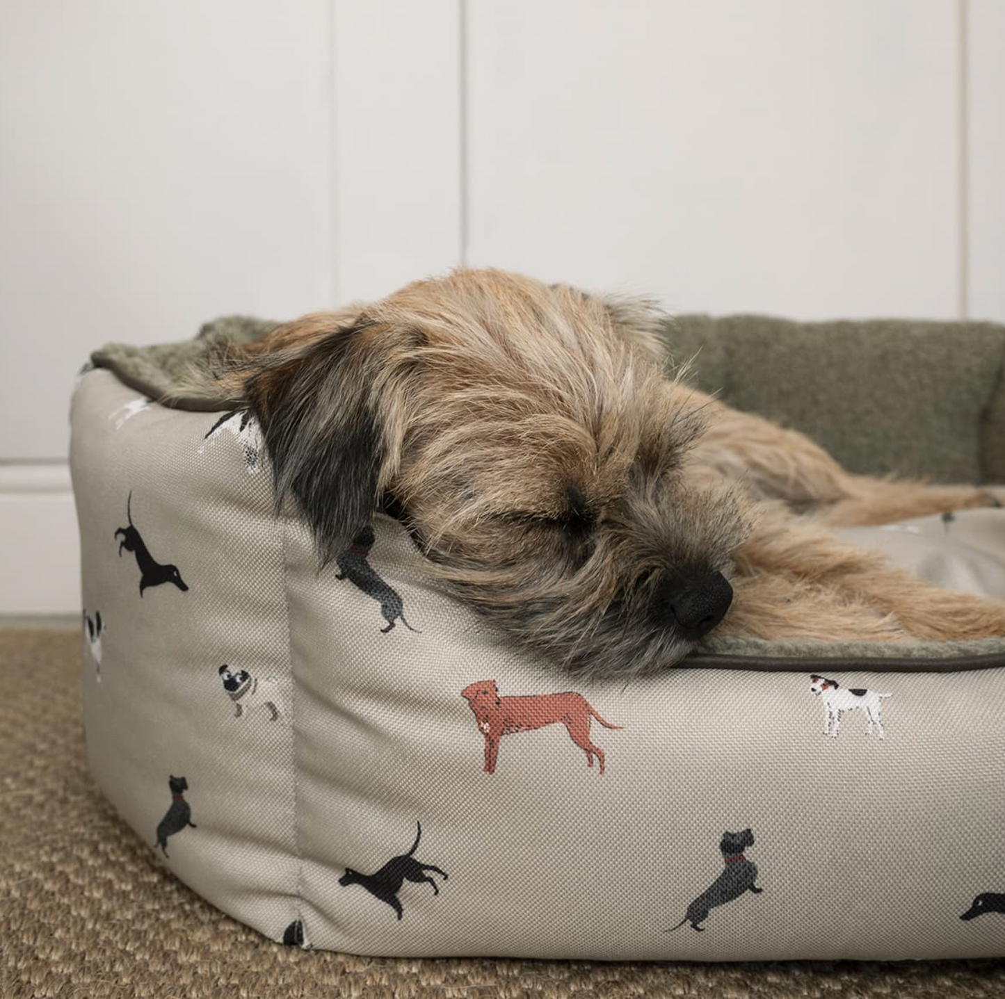 Sophie Allport Pet Bed,  Woof