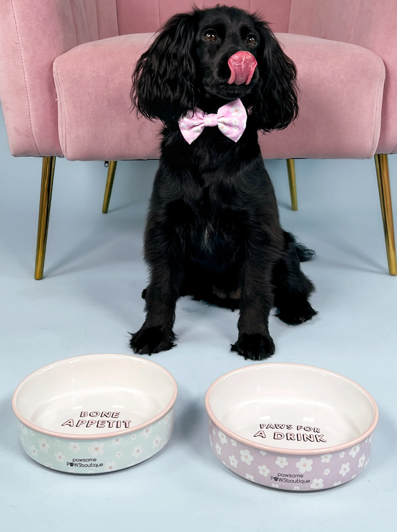 Pawsome Boutique Ceramic Pet Bowl, Flowers (Set Of 2)