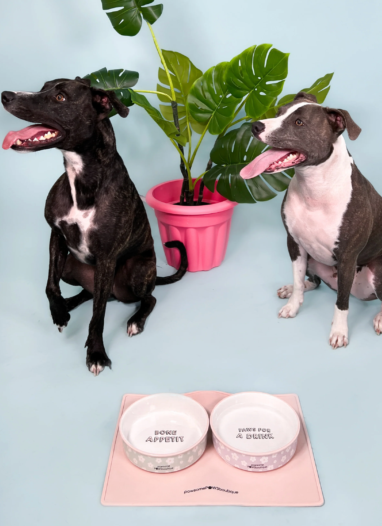 Pawsome Boutique Ceramic Pet Bowl, Flowers (Set Of 2)
