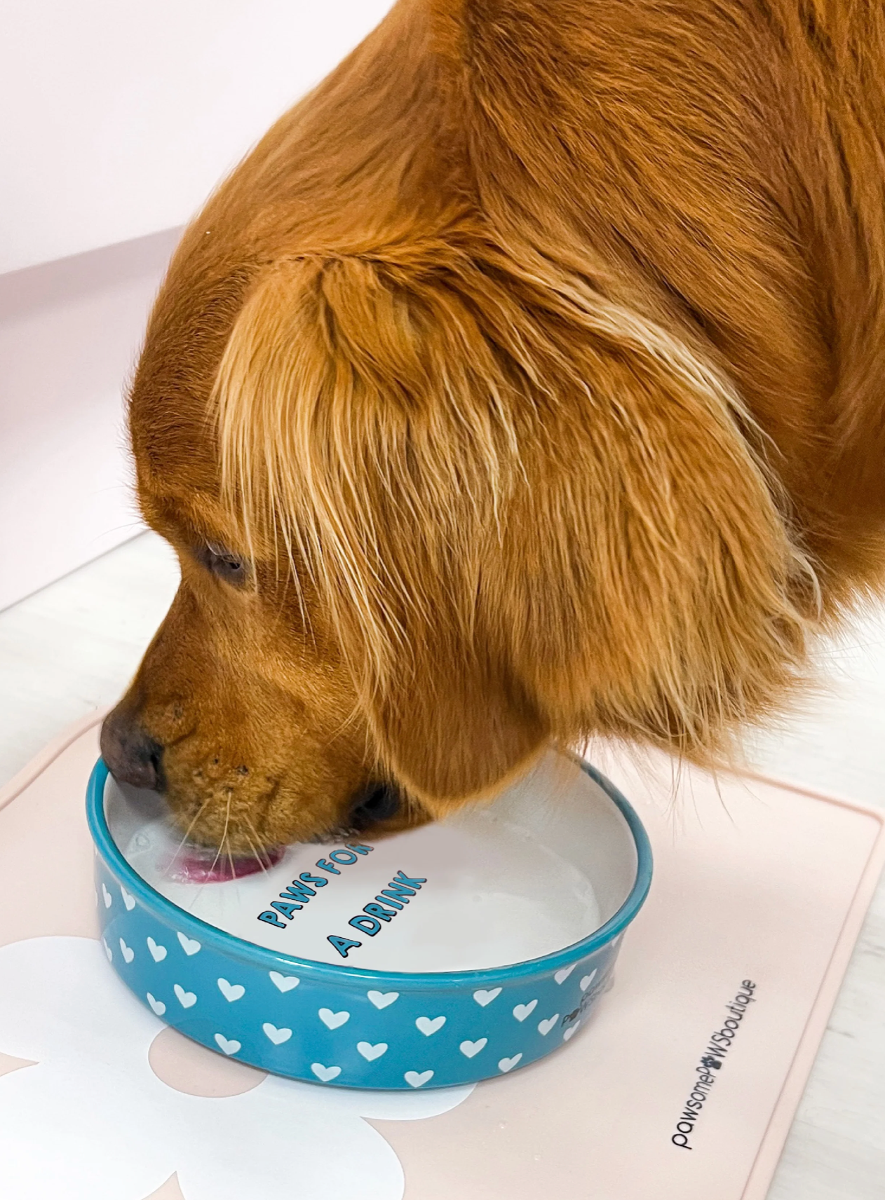 Pawsome Boutique Pet Placemat, Pink Flowers