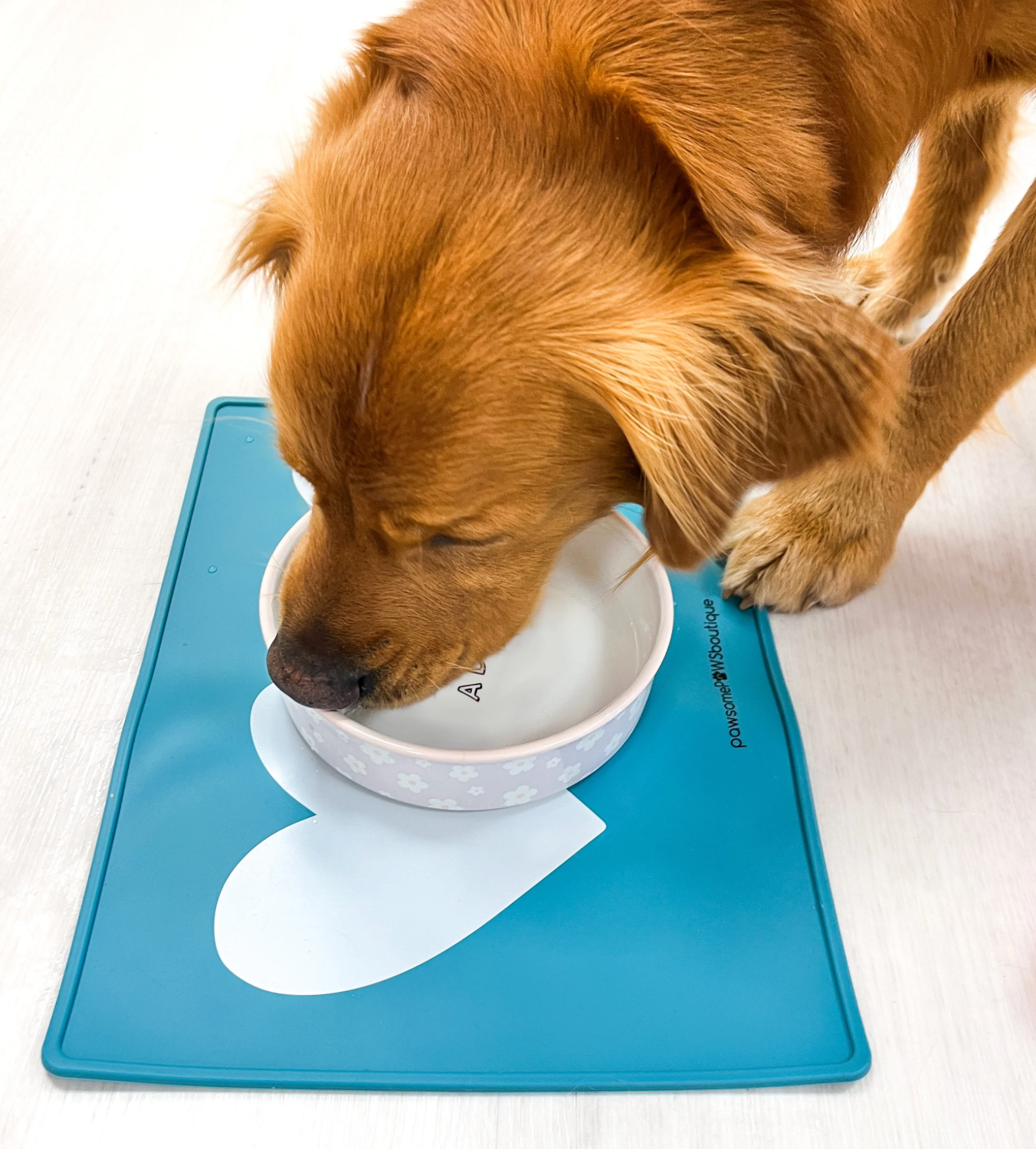 Pawsome Boutique Pet Placemat, Green Hearts