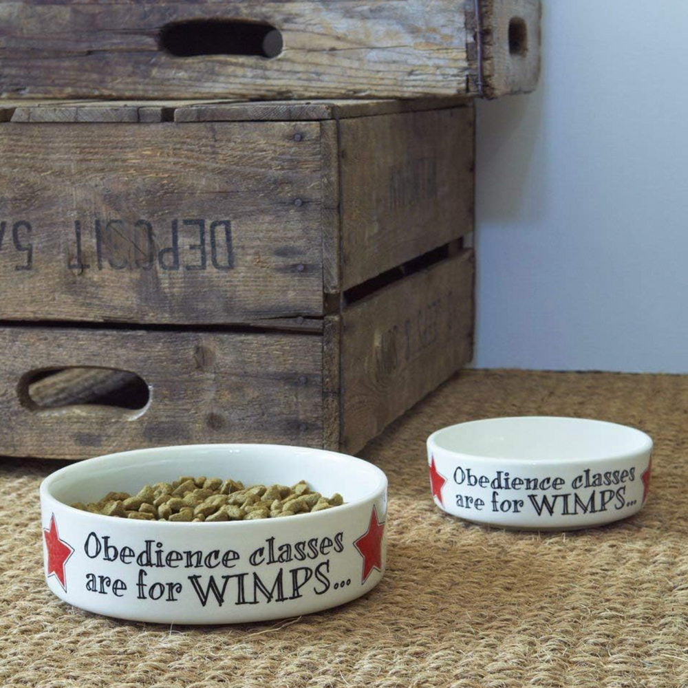 Sweet William Ceramic Dog Bowl, Obedience Classes Are for Wimps
