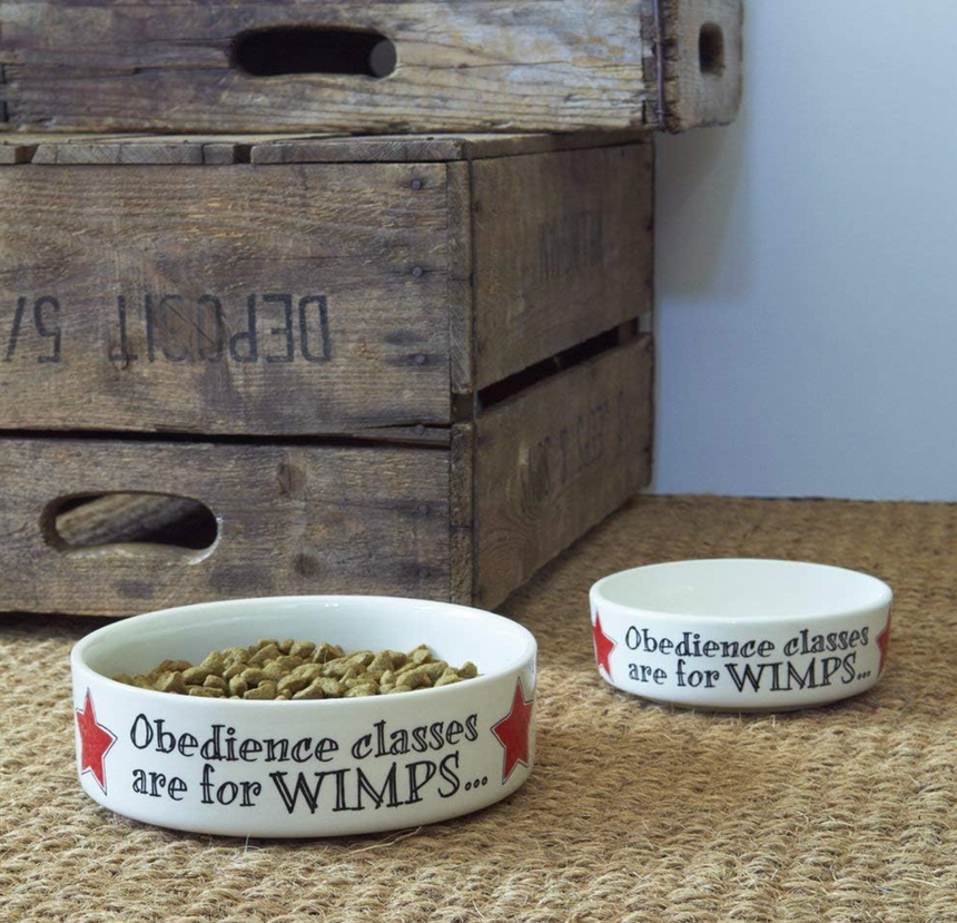 Sweet William Ceramic Pet Bowl, Obedience Classes Are For Wimps