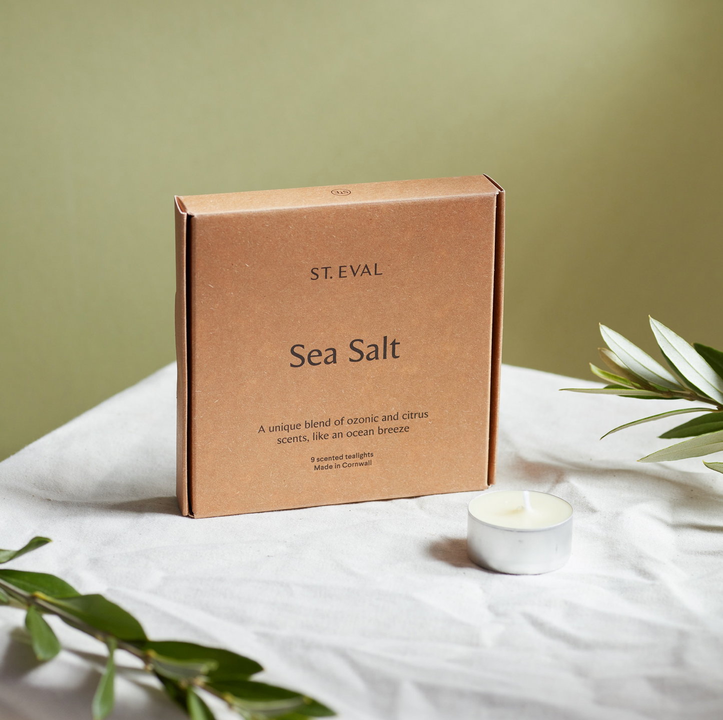 St Eval Sea Salt Scented Tealights, (Set Of 9)