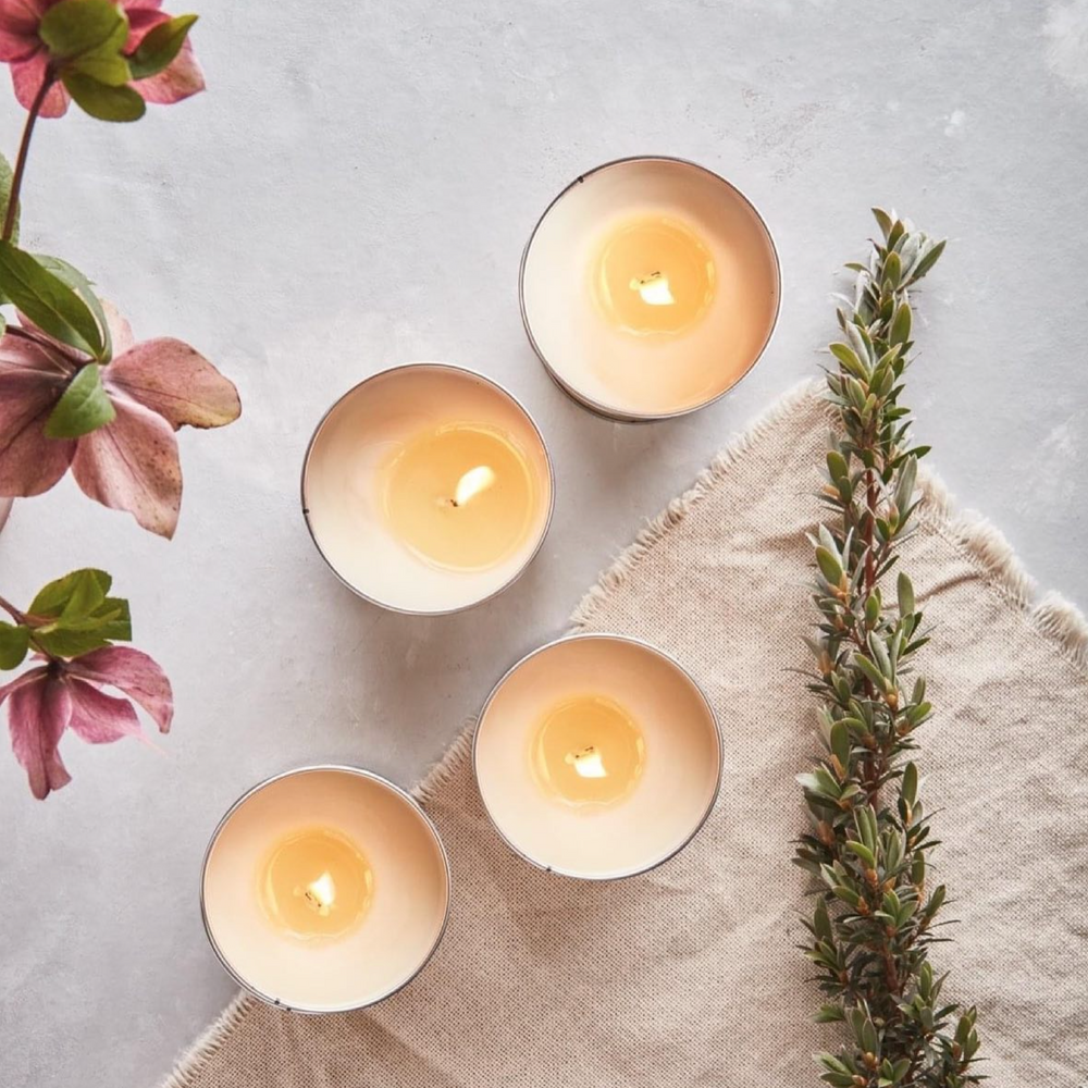 St Eval Grapefruit & Lime Scented Tin Candle