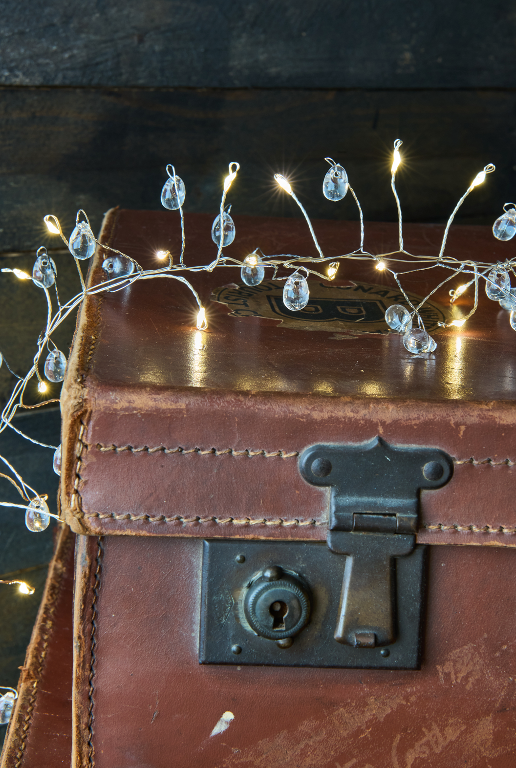 Crystal Cluster LED Fairy Lights (Battery Powered)