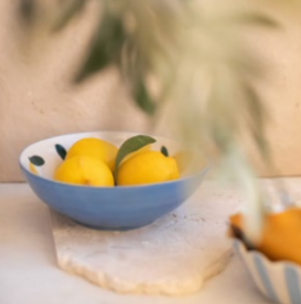Caroline Gardner Lemons Stoneware Shallow Bowl